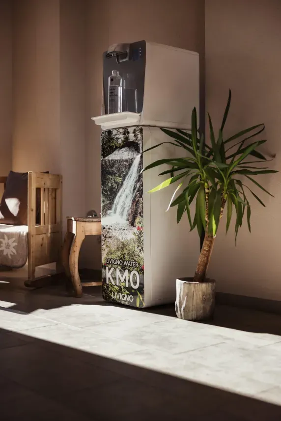 Dispenser of naturized water